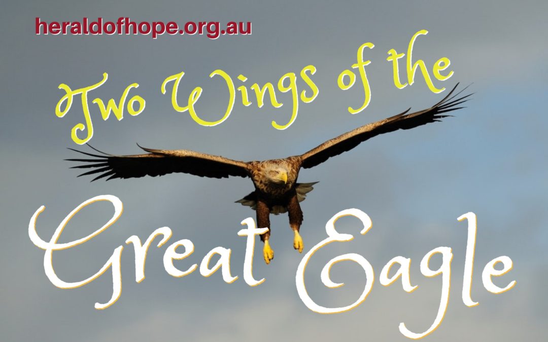 大鹰的两个翅膀 Two Wings of the Great Eagle