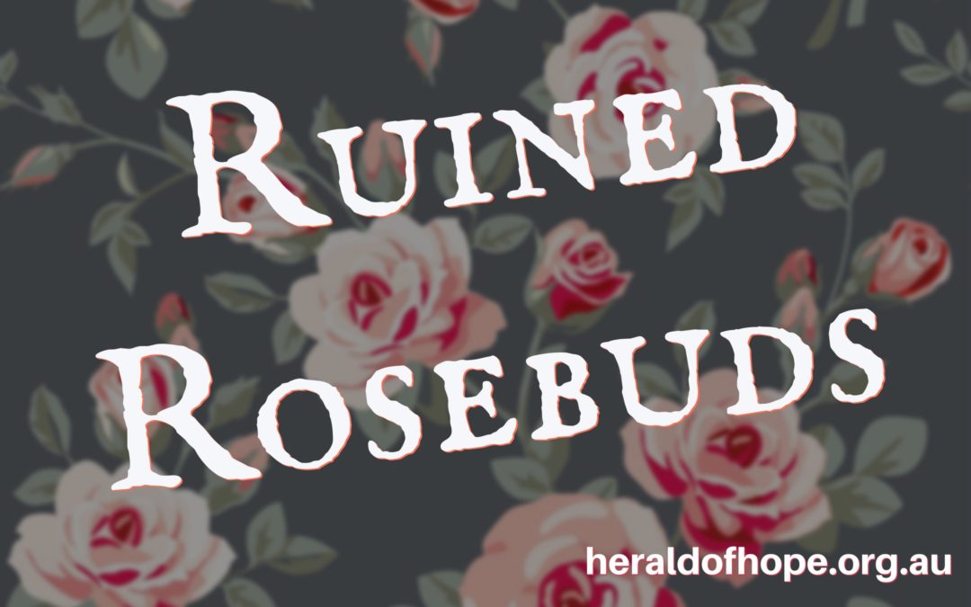 被毁的花苞 Ruined Rosebuds